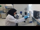 المرأة الإماراتية.. 5 نماذج ملهمة في مجال العلوم