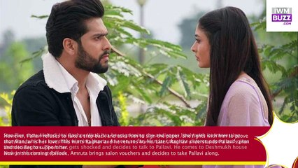 Mehndi Hai Rachne Waali spoiler alert Raghav and Pallavi’s secret meeting