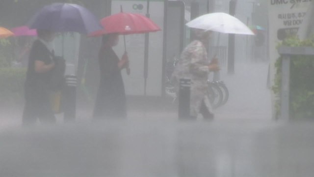 [날씨] 오늘 내륙 기습 소나기...주말 전국 곳곳 호우 / YTN