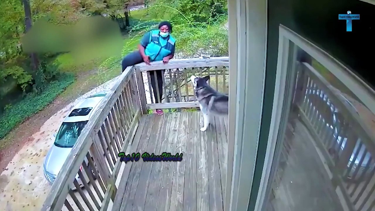 TOP 40 LIFE'S UNEXPECTED MOMENTS - JUST WAIT FOR IT!