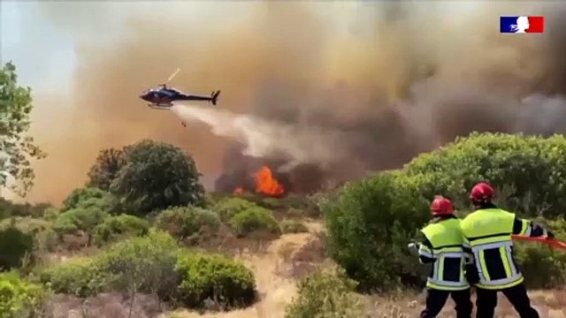 Лесные пожары уничтожают биоразнообразие в заповедниках Европы