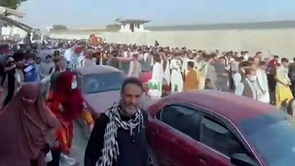 Calls for Federal Government to increase refugee intake in wake of Afghanistan crisis