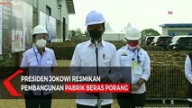 Presiden Jokowi Resmikan Pembangunan Pabrik Beras Porang