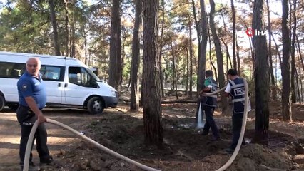 Marmaris polisi yangından zarar gören ağaçları yeniden yeşertmek için seferber oldu