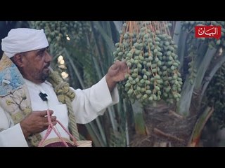 موسم تباشير الرطب