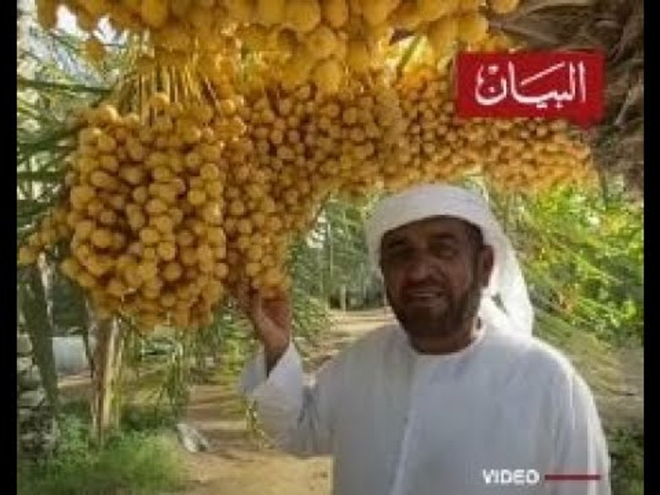 30 عاماً في واحة الخير