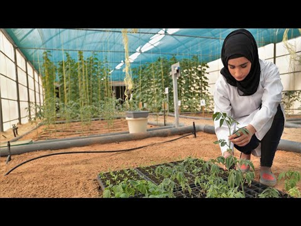 بيئة مستدامة للزراعة المحلية