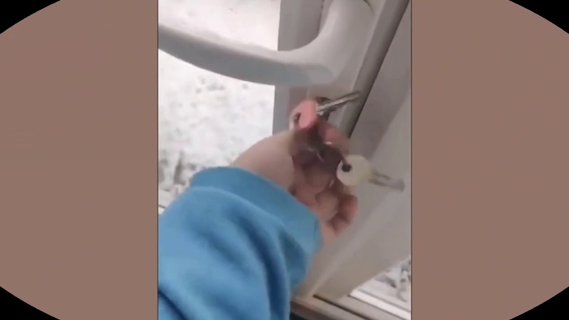 ⁣funny  AND CUTE PETS ,FUNNY COMPILATION, PETS DOING CRAZY THINGS