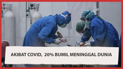 Kasus Covid -19 Meningkat,  20% Bumil Meninggal Dunia