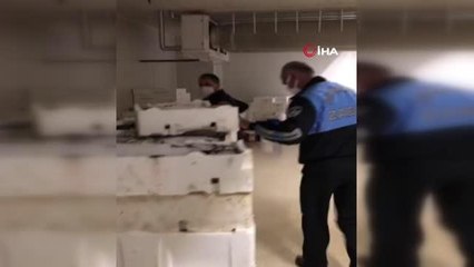 Yasak avlanan yarım ton balığına el konuldu