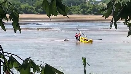 EUA. Bombeiros descobrem que "corpo na água" era banhista a relaxar