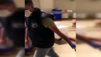 Yasak avlanan yarım ton istavrit balığına el konuldu