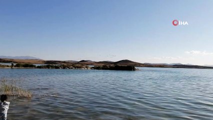 Kazların göçü böyle görüntülendi