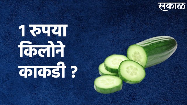 Nashik : नाशिकमधील बाजारात मिळतेय 1 रुपया किलोने काकडी ?