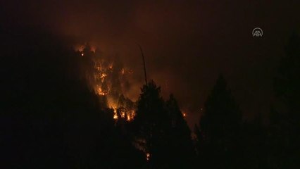ABD'nin California eyaletinde orman yangınları devam ediyor