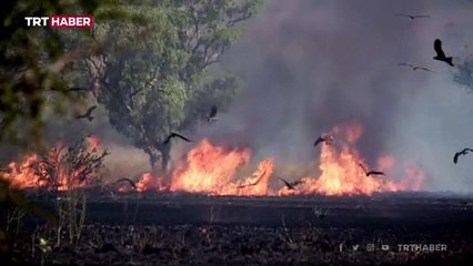 İklimler değişiyor, dünya küresel ısınmaya teslim oluyor