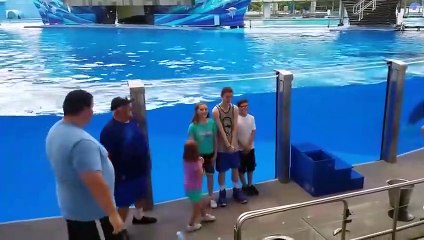 TRY NOT TO LAUGH CHALLENGE - 1- Baby Shark Doo Doo ( 480 X 854 )