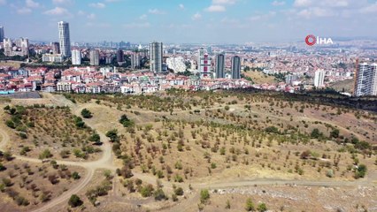 Ankara'ya 'Yeni Atatürk Orman Çiftliği' geliyor