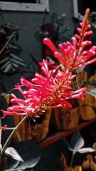 Cinematic Content Showcase 🎬