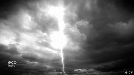 Forest fires and lightning strikes