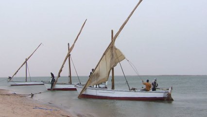 موريتانيا.. قبائل حوض آرغين يتمسكون بأسلوب حياة تقليدي