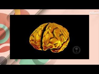 تأثير قلة النوم خطير على الدماغ .. إليكم نتائج دراسة حديثة !