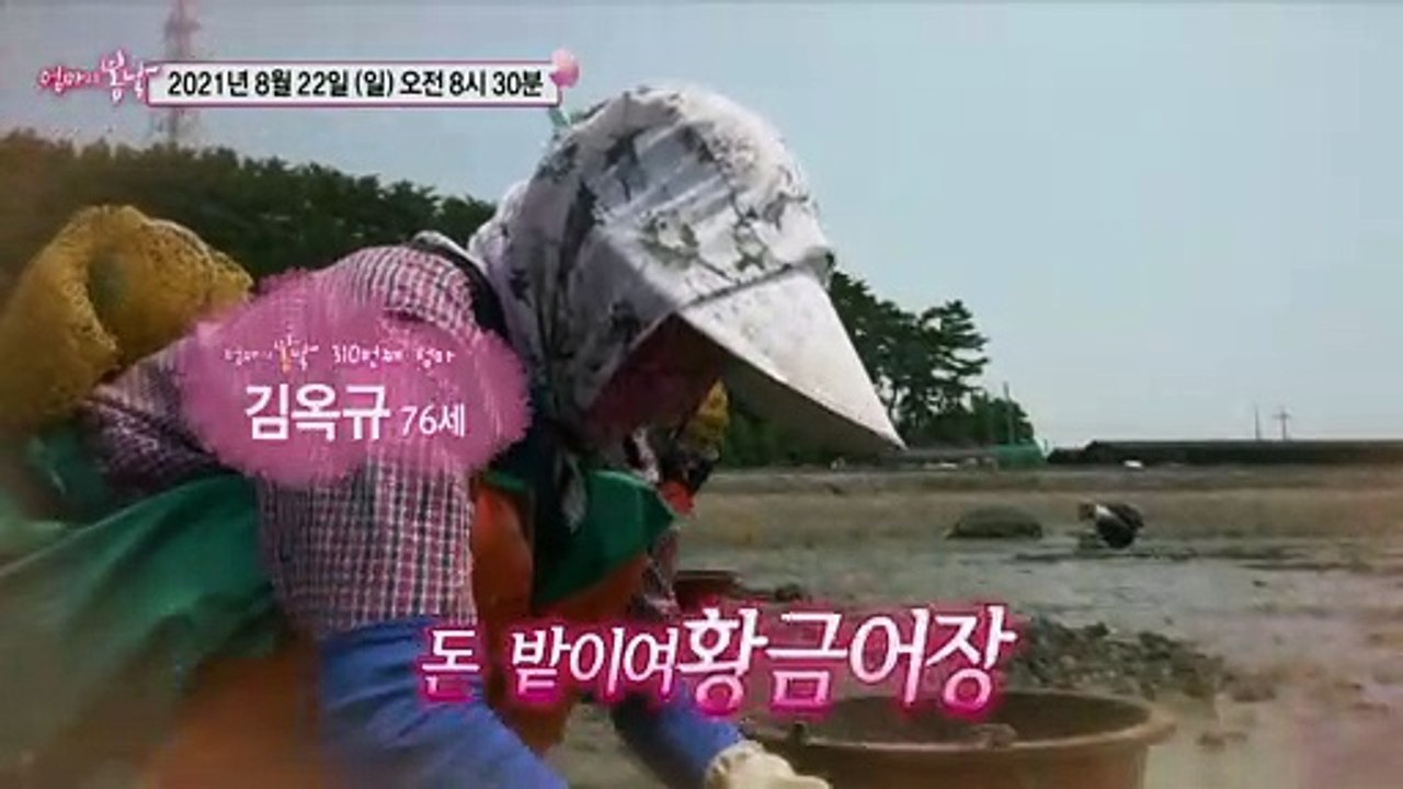 섬마을 바지락 부부의 갯벌 로맨스_엄마의 봄날 310회 예고 TV CHOSUN 210...