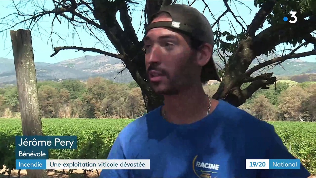 Incendie dans le Var - Elan de générosité envers un vigneron implanté sur la commune de Cogolin qui a perdu toute sa production ainsi que la moitié de son domaine - VIDEO