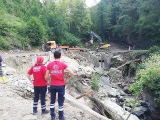 UMKE, Ayancık'taki sel felaketinde insanların yanı sıra hayvanları da unutmadı