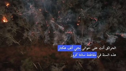 حرائق الغابات تقضي على مساحات واسعة في شرق بوليفيا