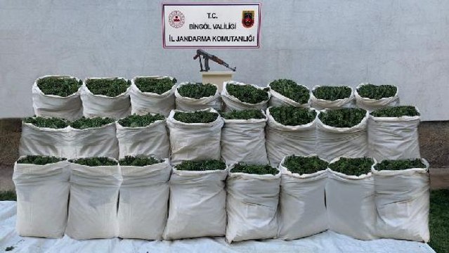 10 BİN KÖK HİNT KENEVİRİ İLE 665 KİLO UYUŞTURUCU ELE GEÇİRİLDİ
