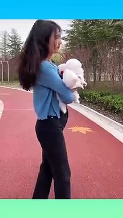 So_Cute_and_Funny_Dogs_Videos_Compilation_2021___15__%23shorts(360p)