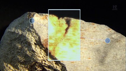 Monstro dos mares: O assustador Megalodon, maior tubarão que já existiu