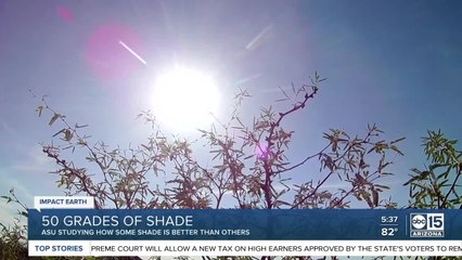 50 grades of shade: ASU studying how some shade is better than others