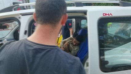 KAMYONETLE AĞACA ÇARPAN SÜRÜCÜ YARALANDI