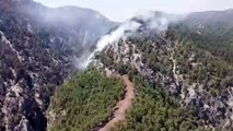 Kabus geri döndü: Muğla Köyceğiz'de orman yangını