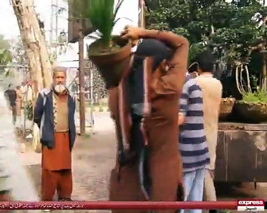 Plant Nurseries 1
