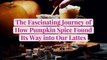 The Fascinating Journey of How Pumpkin Spice Found Its Way into Our Lattes