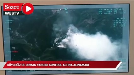 Köyceğiz’de orman yangını kontrol altına alınamadı