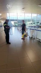 שוטרי אילת אוכפים את תקנות הבידוד על מטיילים ששבו מסיני