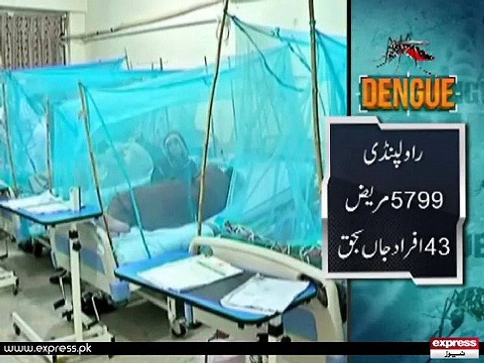 Dengue