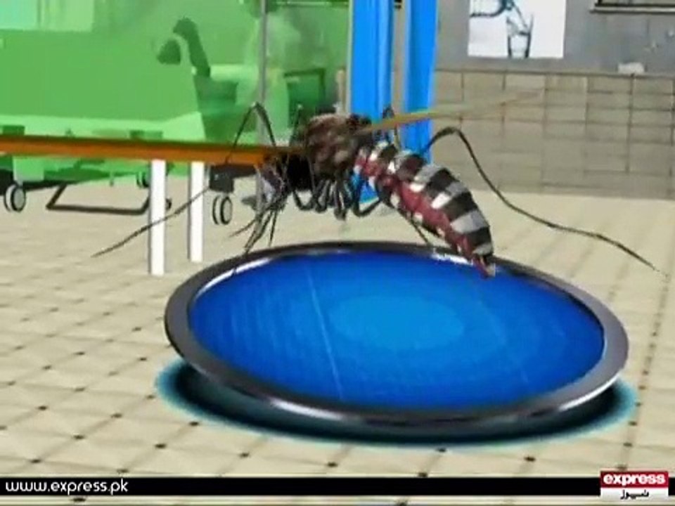 Dengue Overlay Jw