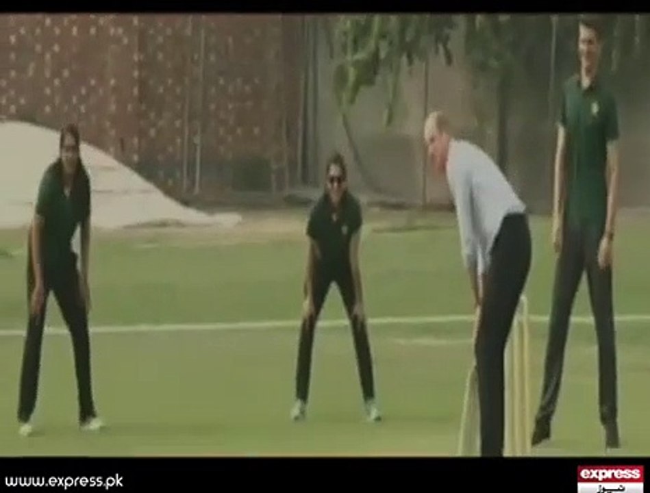 Cricket