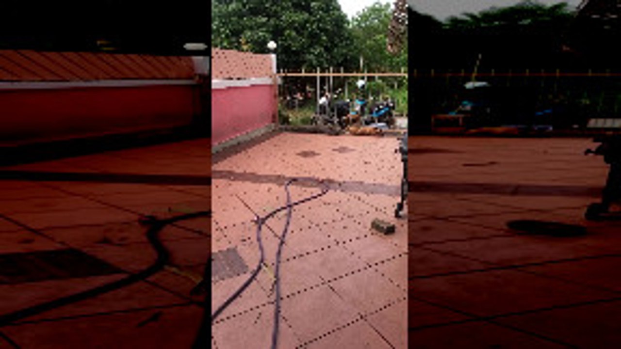 Pups Peacefully Passed Out