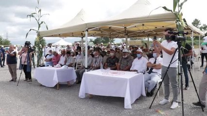 Yerli ve milli silajlık mısır "Aga" tanıtıldı