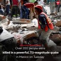 More than 224 killed in powerful Mexico quake: authorities