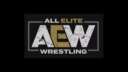 2011 - 2019- The Revolution of Pro Wrestling