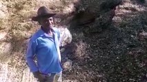 Seca em Minas: Nilton Marques das Neves, produtor rural da comunidade de Água Boa, no município de Glaucilândia