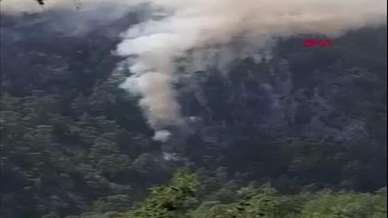 Son dakika haberleri: Köyceğiz'de orman yangını