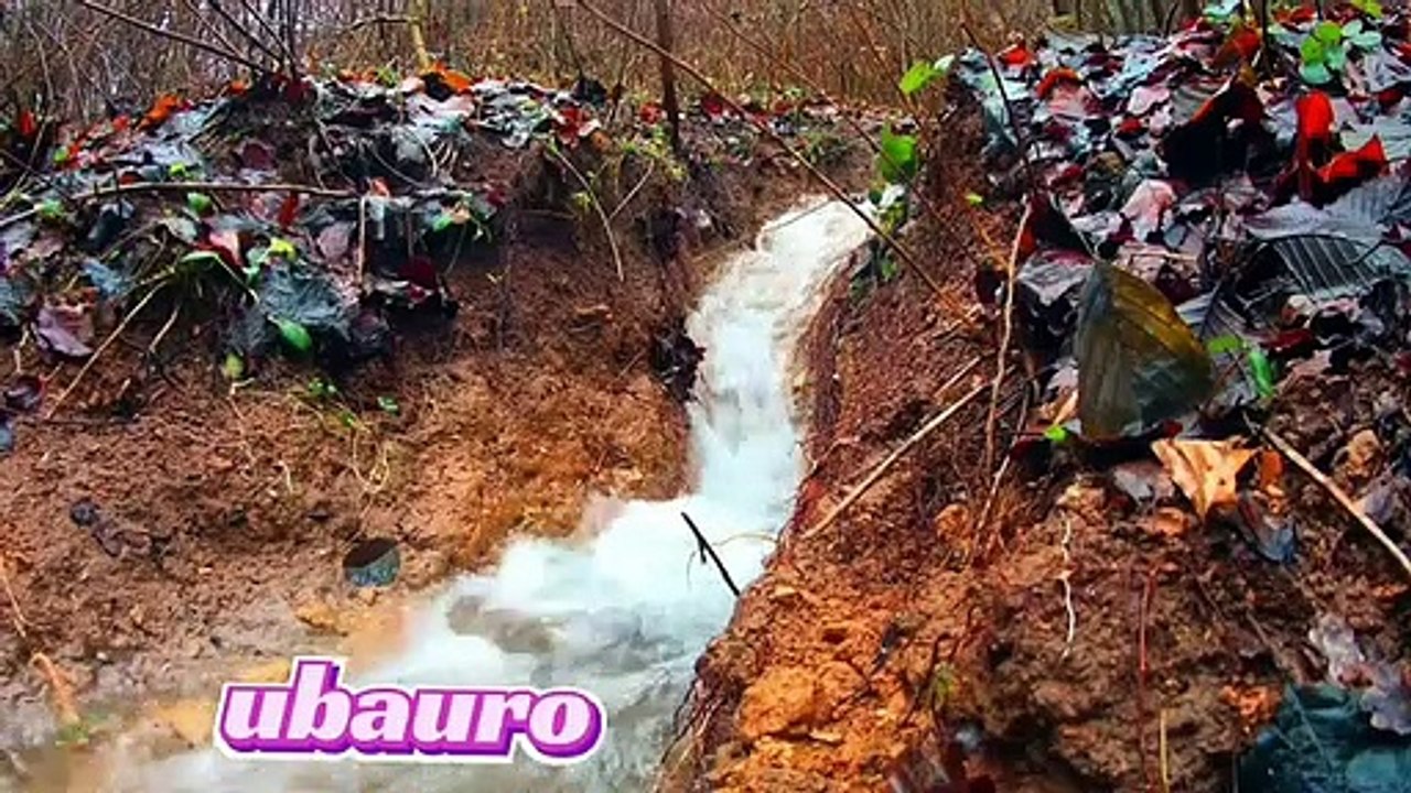 Real_Nature_universal_amazing(360p)(1)